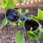 Dimos sequoia green solid polarized - Foto 5