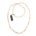 Collana lunga con perle fresh rosa in gradazione - Foto 1