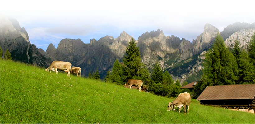 Pascolo