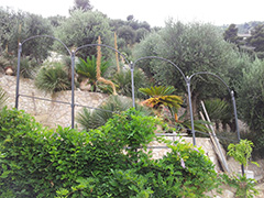 ringhiere