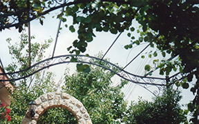 tettoie