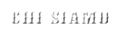 Chi siamo