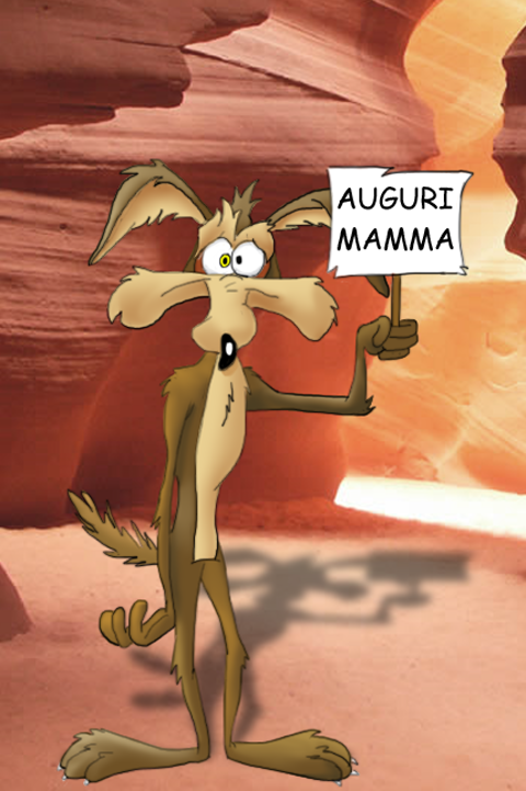 willycoyote